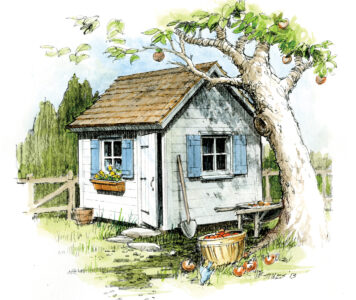 illustration of a garden shed behind a tree